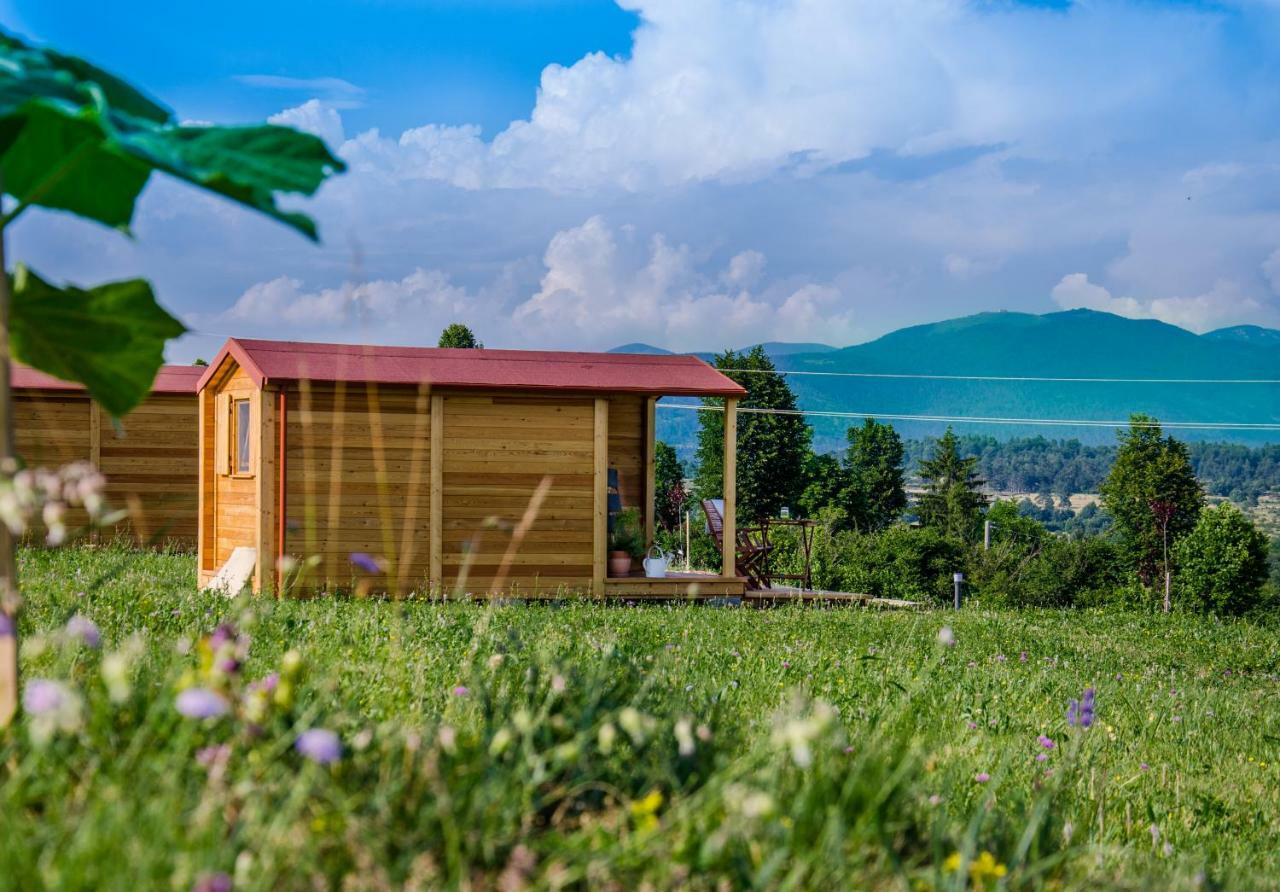 Camp The Sunrise Hill Hotell Pivka Eksteriør bilde